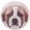 Plátno-Pes
